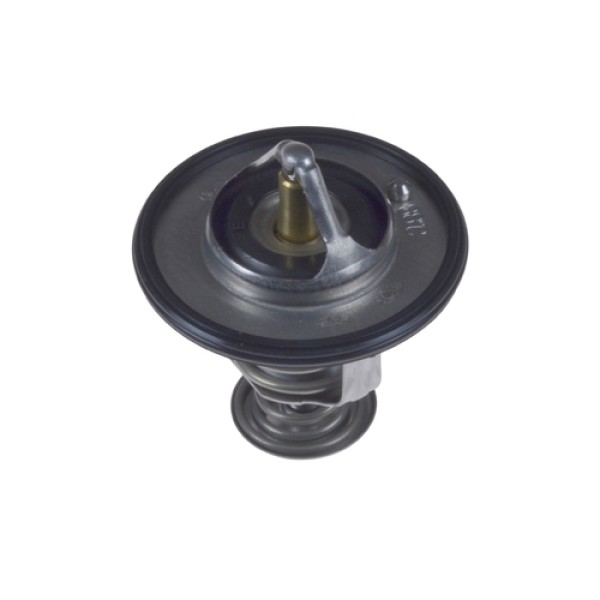 BLUE PRINT ADC49210 TERMOSTAT CARISMA 