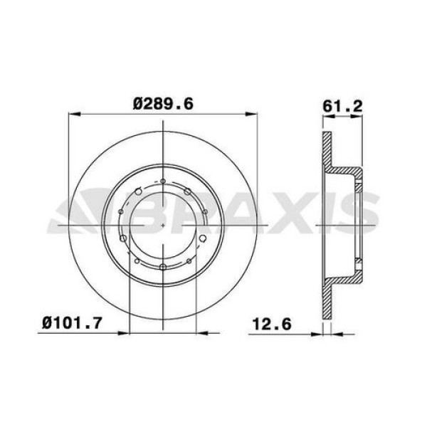 BRAXIS AE0290 Fren Diski Arka Defender 2.8 Discovery 2.0 2.5 2.5TDI 3.5 3.9 90- Range Rover 2.5 Td 2 