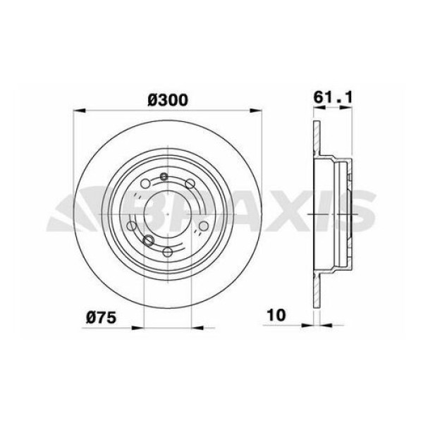 BRAXIS AE0447 Fren Diski Arka E34 518 520 524 525 530 535 88-96 M5 3.5 3.8 89-96 Dolu Havaland 