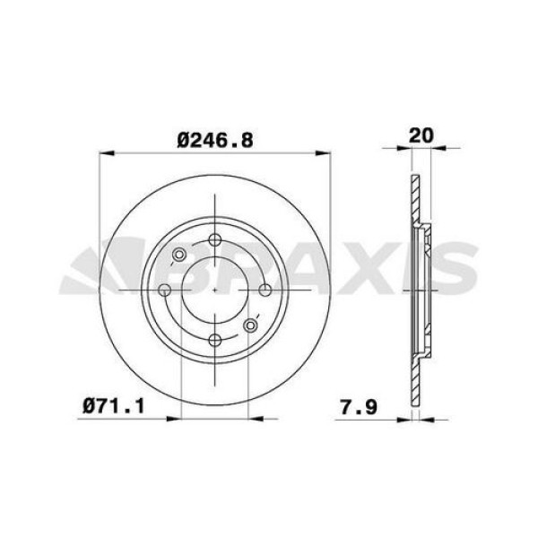BRAXIS AE0649 Fren Diski Arka Peugeot 205 309 II 1.6İ 1.9I