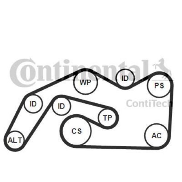 CONTITECH 6PK2490K1 V KAYIS SETI A4 A6 A8 Q7 QUATTRO 2.7 3.0TDI BSG BPP BNG CDYB BMK BUN CASB CASA CCMB CJGA 