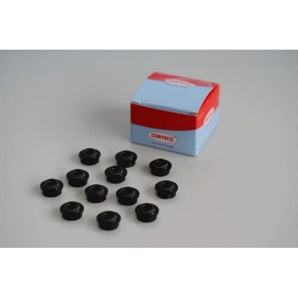 CORTECO 19036123 MOTOR SUBAP SUBAP LASTIGI CONNECT 1.8TDCI 02>13 TRANSIT T12 T15 92>00 BOXER JUMPER DUCATO MASTER 2.8TD 2.8HDI OLCU (8×12 15.2×9.5) 