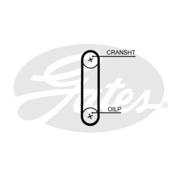 GATES T351HOB YAG POMPA KAYISI 2.0TDI ARTEON 17> CADDY 16> CC 12>17 CRAFTER 17> GOLF VII 13>17 JETTA 15>18 PASSAT 13> POLO 18> TIGUAN 12> 