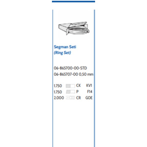 GOETZE 00 SEGMAN R.ROVER SPORT DISCORY3 84MM3.0 1.751.752 