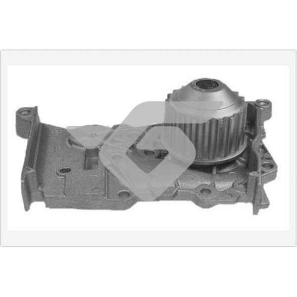 HUTCHINSON WP43 DEVIRDAIM CLIO II 98 CLIO III 05 FLUENCE 10 KANGOO 97 LAGUNA I 97 LAGUNA II 01 05 MEGANE I-II-III SCENIC I-II-II SYMBOL II 08 DOKKER 12 SANDERO 08 1.4 1.6 