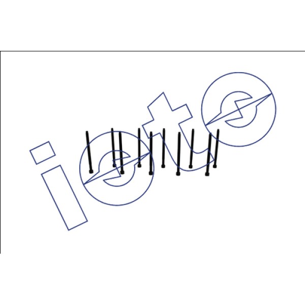 IOTO 12101 SILINDIR KAPAK SAPLAMASI SETI (M12 175X166-QTY=10) TRANSPORTER T5 BJB CADDY III 1.9 TDI PASSAT 1.9 2002> 105PS AVF AXB 