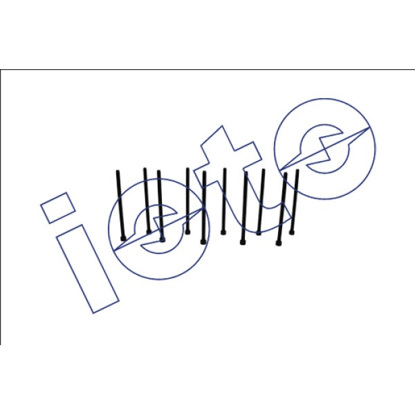 IOTO 12101 SILINDIR KAPAK SAPLAMASI SETI (M12 125X215-QTY=10) DOBLO 1.9D 1997-2004 DUZ 39MM 