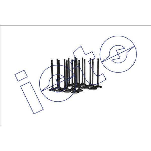 IOTO 70101-12610 SUBAP TAKIMI 8 IN 8 EX (STELITLI) FORD FOCUS III 2011> MONDEO 2007-2014 1.6 16V TURBO ECOBOOST IN (30.2X5X99.2) EX (25X5X100) 