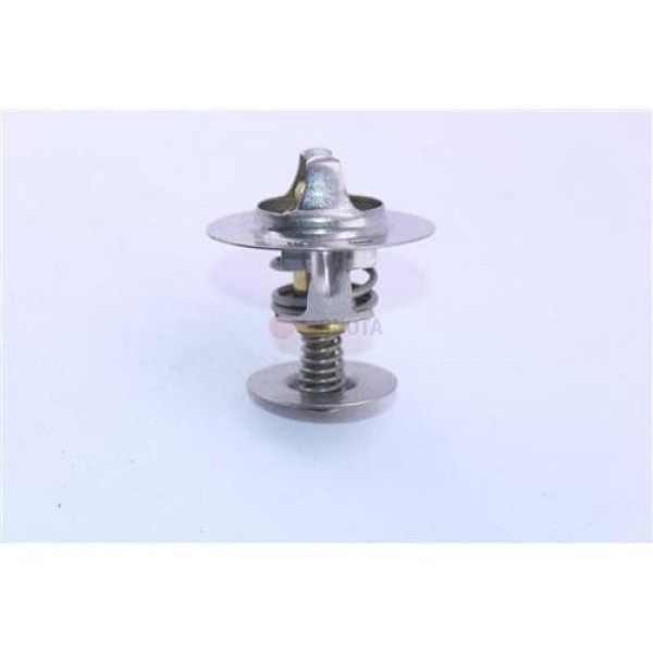 OES 39023 TERMOSTAT 60 C FORD FORD TRANSIT MINIB. VE KAMY. T15-ESCORT FORD CONNECT 