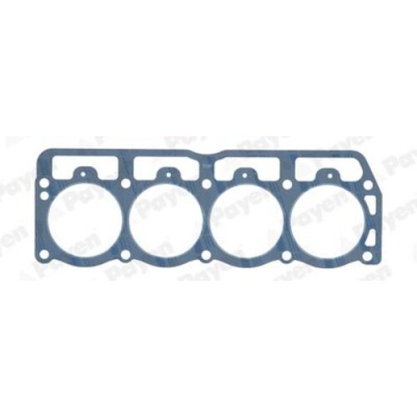 PAYEN AC5600 WRANGLER 2.5 BENZINLI SILINDIR KAPAK CONTASI 