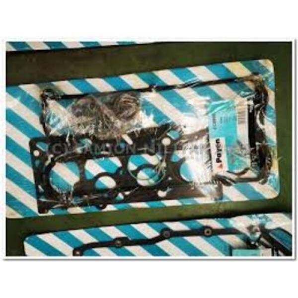 PAYEN CC5800 FORD PKW UST TAKIM CONTA 