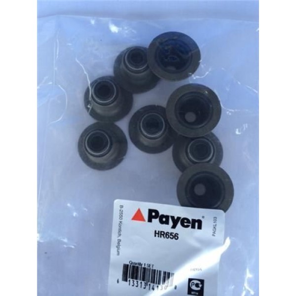 PAYEN HR656 SUBAP LASTIGI SET ROVER 200 220GSI 220T 420 620 820 2.0 DISCOVERY 2.0 93-98 