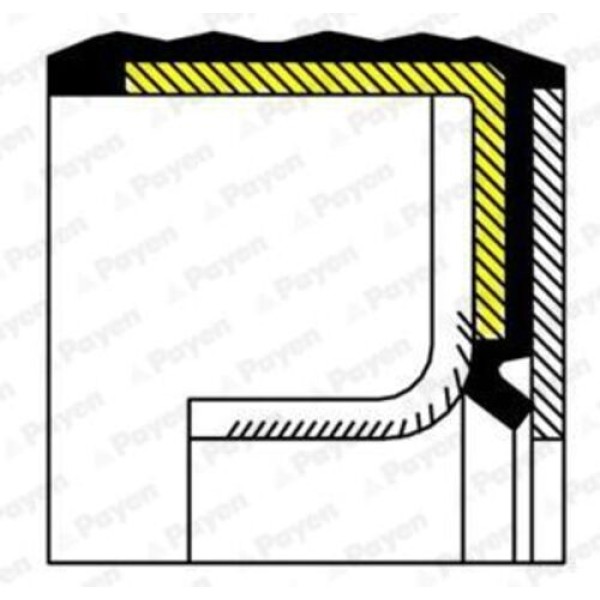 PAYEN NA5230 KECE FIAT 