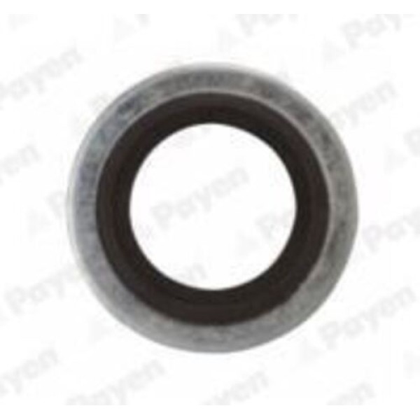 PAYEN PB852 YAG BOSALTMA TAPA CONTASI CLIO I-R21-MASTER I-P106-P206-P306-P407-C2-C3-C4-C5-SAXO-XSARA-ZX 