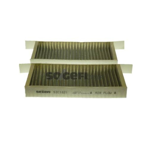 PURFLUX AHC264-2 POLEN FILTRESI LAGUNA III KARBONLU 