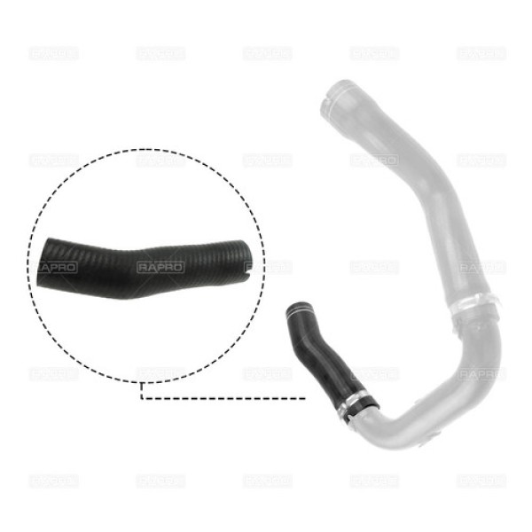 RAPRO 11607 d153dd16-6f64-4e86-8233-4f0f9d9c9e91.jpg 