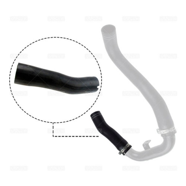 RAPRO 11609 98ad248e-6fd7-4db5-b8e2-9c94cacb8b6d.jpg 