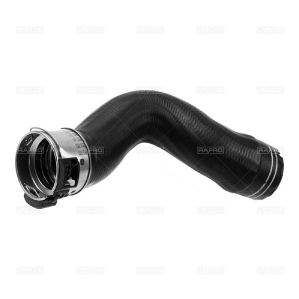 RAPRO 11631 f5dd562a-41e8-4ea5-a96a-6bb8376866ee.jpg 