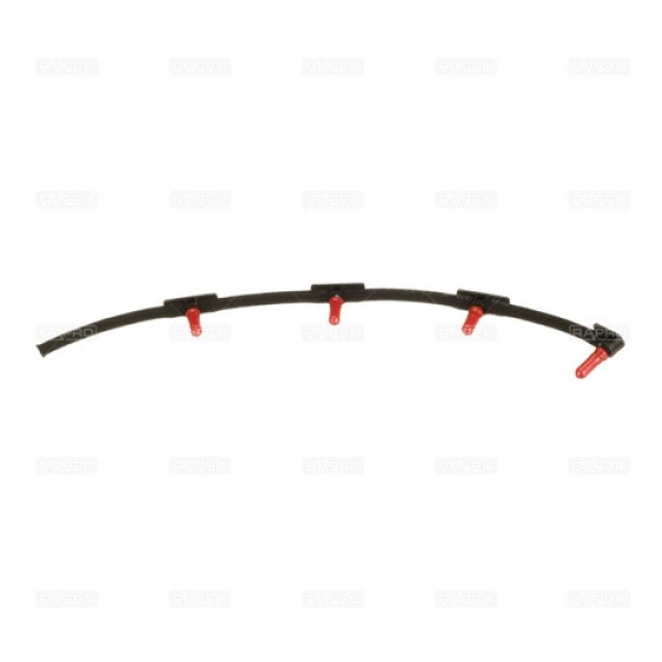 RAPRO 11706 c951f860-3c00-49c3-81a0-88f398b6ac9c.jpg 