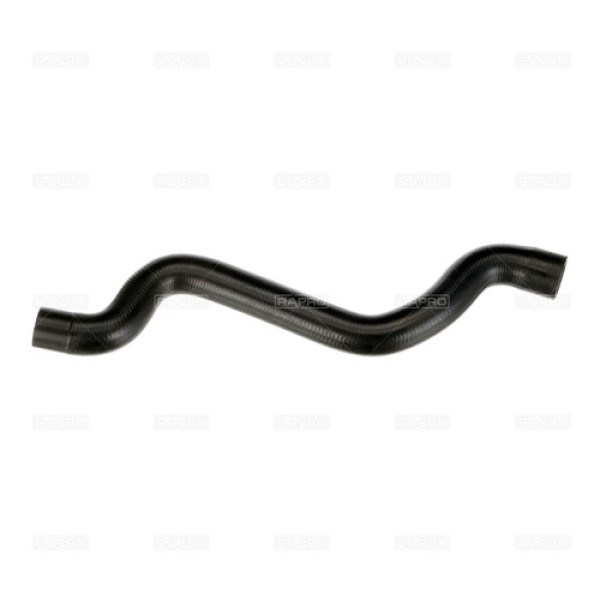 RAPRO 11725 72332d00-e581-4c3d-a21b-906e91cba873.jpg 