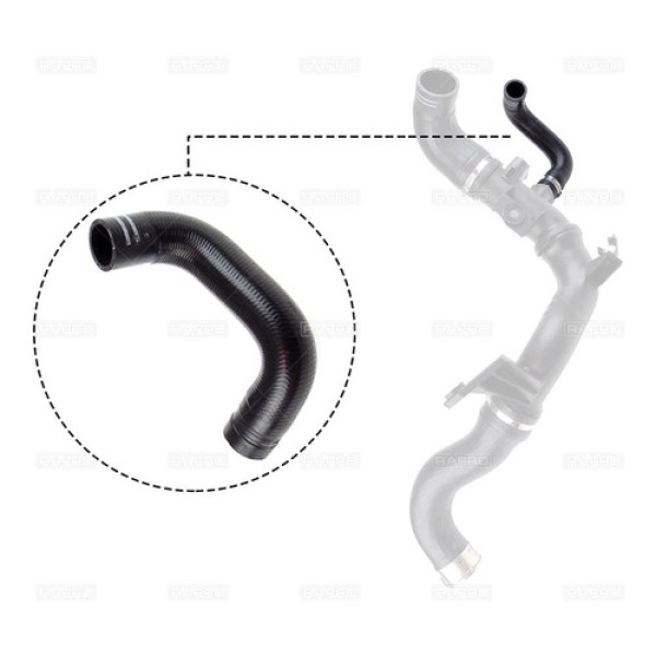 RAPRO 11766 891ec7be-32e4-4f88-9fa4-18f5e0ab73dc.jpg 