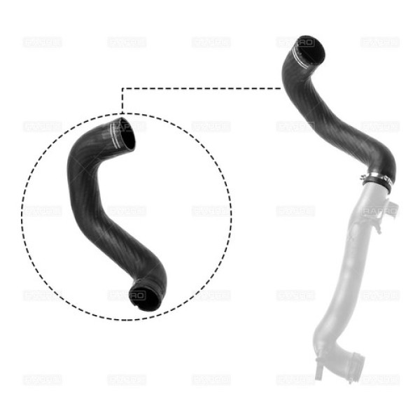 RAPRO 11771 7cf5fada-afe8-46a6-818c-b25902c20a9b.jpg 