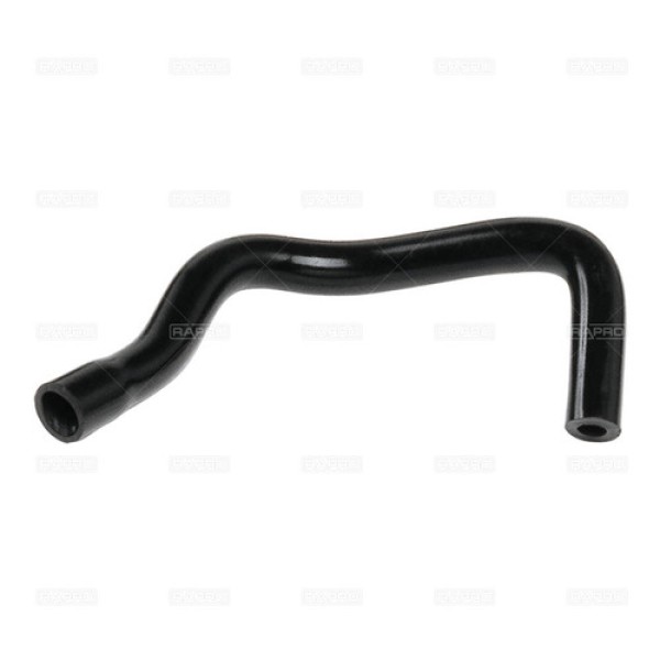 RAPRO 12113 e5e47a0f-f950-425f-be18-effec80a4ed1.jpg 