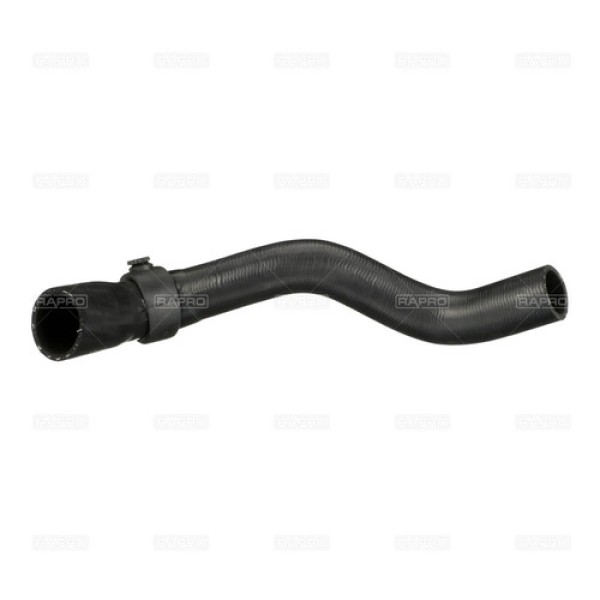 RAPRO 12125 b917e6af-7a96-4f40-a580-a50ced3f025d.jpg 