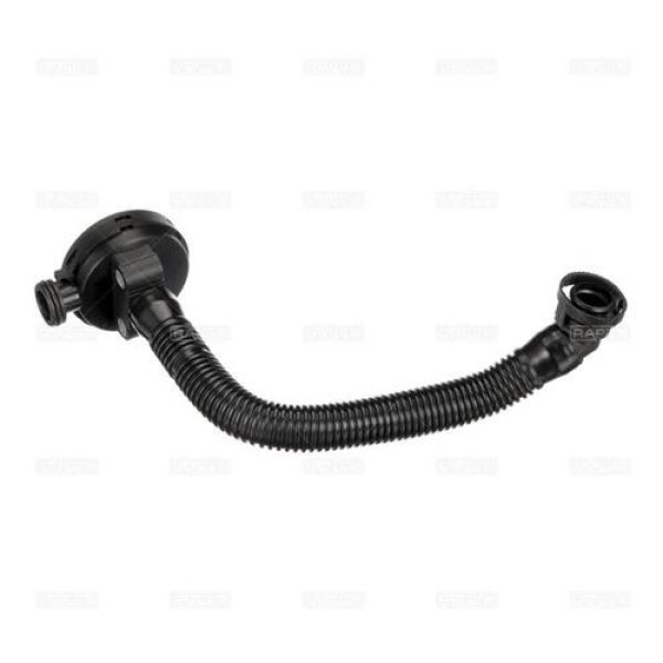 RAPRO 251060 VALF SEAT CORDOBA II 1.2-1.2 12V 