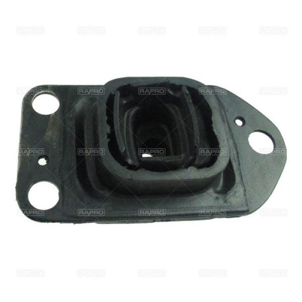 RAPRO 51932 SANZIMAN TAKOZU RENAULT MEGANE III 2.0 DCI 07>M9R 