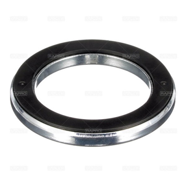 RAPRO 55202 AMORTISOR RULMANI-- DUCATO-BOXER-JUMPER 