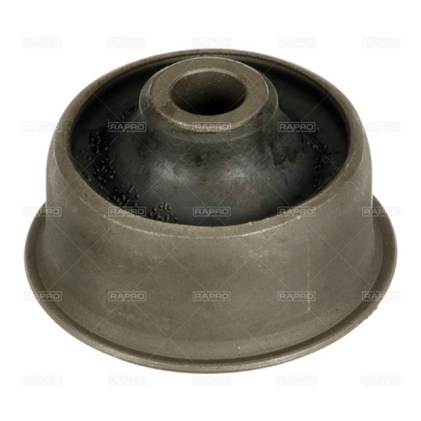 RAPRO 59134 SALINCAK BURCU BUYUK ESCORT 89 