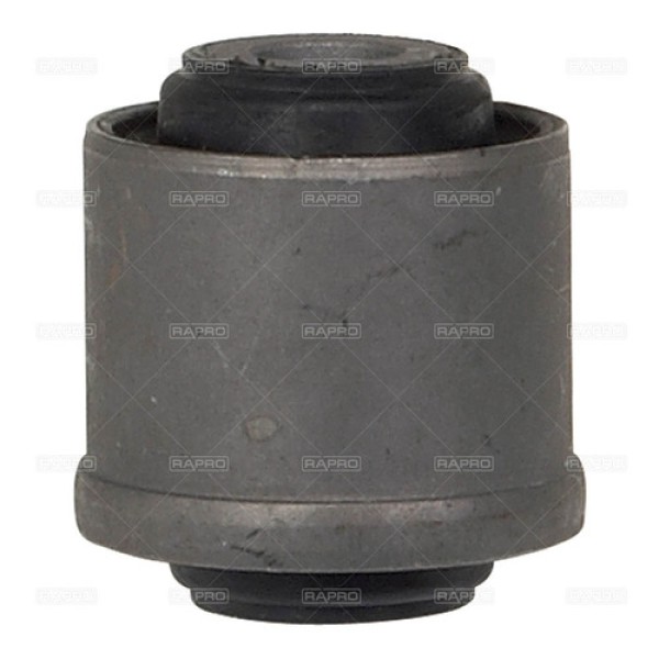 RAPRO 59242 SALINCAK BURCU CLIO 