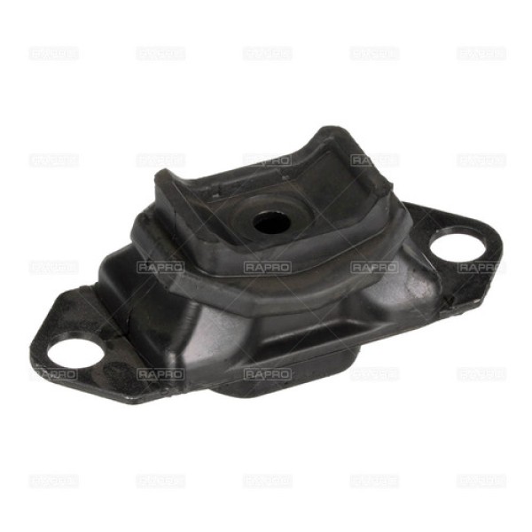 RAPRO 59895 SANZIMAN TAKOZU LOGAN MEGANE II SCENIC II 1.5 K9K 