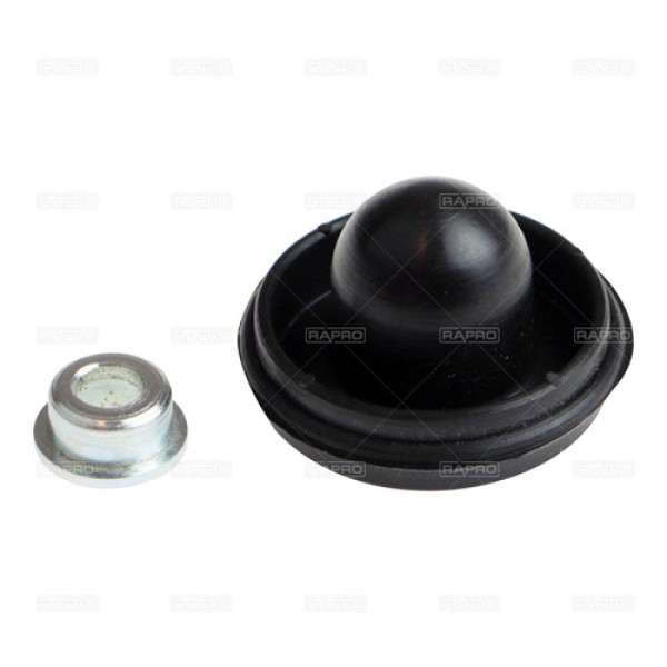 RAPRO 59968 YAG TAPASI CITROËN BX 