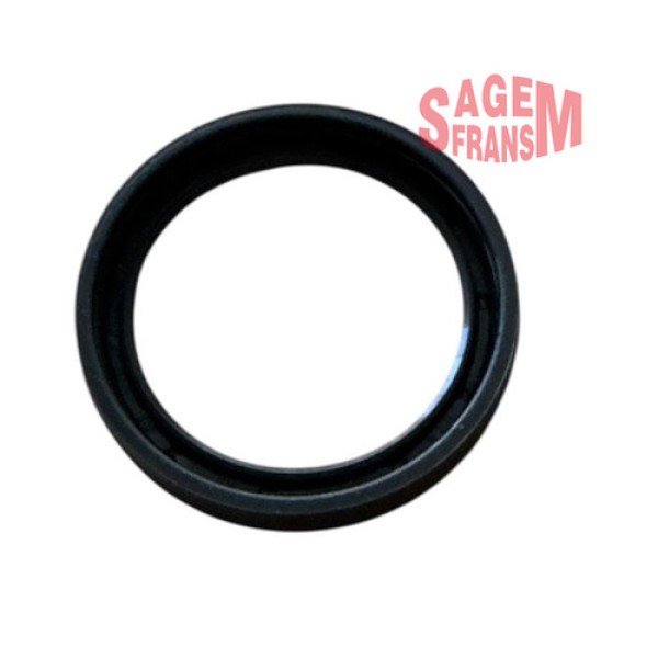 SAGEM 210380 EKSANTRIK YAGLI KAPTOR KECESI MEGANE II-LAGUNA II 1.6 16V K4M 