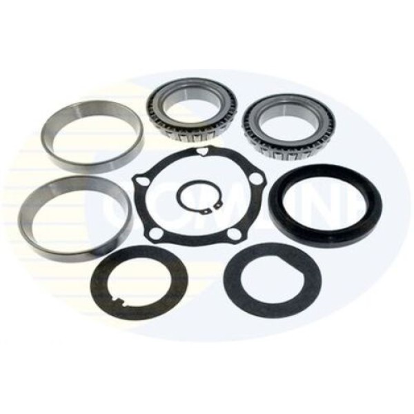 SNR LM603049011 TEKER RULMANI 