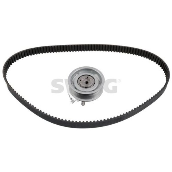 SWAG 32923634 EKSANTRIK RULMAN KITI (TRIGER SETI) GOLF IV-BORA-A3-A4-CORDOBA-IBIZA-TOLEDO-FABIA-OCTAVIA 1.6 8V 16V AKL BSE BFQ AEH 