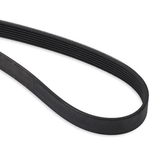 DONGIL 7PK1705 Alternatör Kayışı Megane 2.0DCI 16V 05 Laguna 08 Nissan Qashqai 2.0DCI 16V 06 1172000Q1T