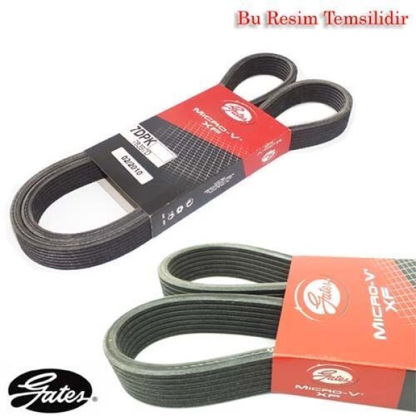 Gates 6DPK1825 Kanallı Kayış Volvo C70 S60 S70 S80 V70 V70Xc XC70 Xc90 68431D 6PK1824 30731811 