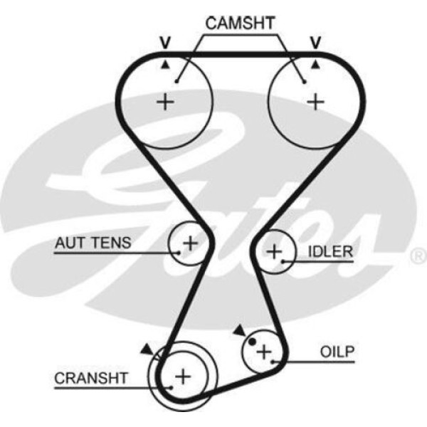 Gates T313 Triger Kayışı 175X290 Hyundai 2.4 16V Hı 01-07 H200 03-04 Sonata 98-01 Stare 03-07 Ct1075 2431238220