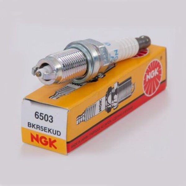 NGK 6503 Buji Bkr5Ekud Golf V-Plus-Jetta III-Passat-Touran-A3-A4 2.0 FSI 101905620