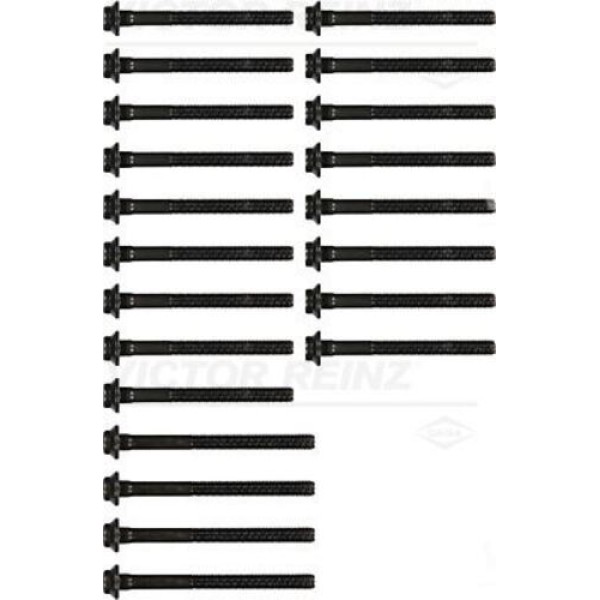 Victor Reinz 14-32033-02 Silindir Kapak Saplaması Takım (23 Lu OM605) W202 93-00 W124 93-95 W210 95-98 A6039900210 