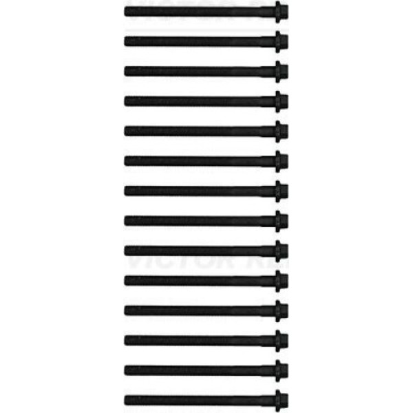 Victor Reinz 14-32152-03 Bolt Kıt Cylınder Head 6842347 