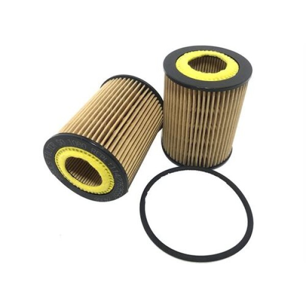 Sardes SO1080 Yağ Filtresi BMW N13 F20 F29 11427611969 