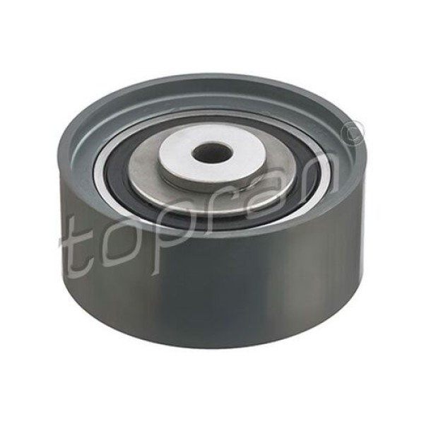 Topran 110973001 Eksantrik Gergi Rulmanı Golf 5-Jetta-Passat-Tiguan-A4-A6 2.0 TDI 2005-2010 Cbab-Bkp-BKD-Bre 03G109244 