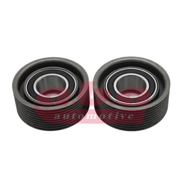 ABA 25750605 Alternatör Gergi Rulmanı