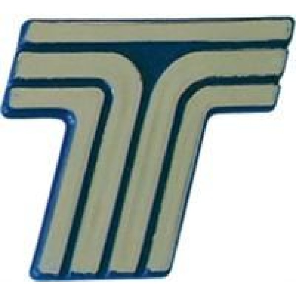 AYHAN A5420 Logo Eğri Mavi T Arma 