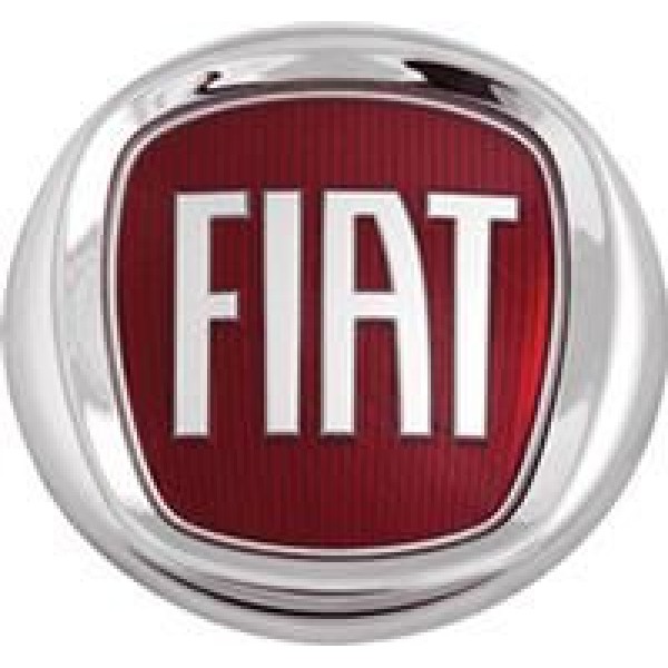 AYHAN A5485 Bagaj Kapak Arması Arka Albea Linea Doblo Çap 95Mm 