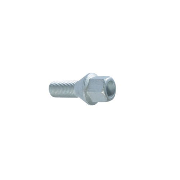 AYHAN A5613 Bijon Civatası Ducato Yeni Model / Master / Boxer 21 Aa Delıklı Tıp